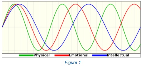 608_Figure 1.jpg